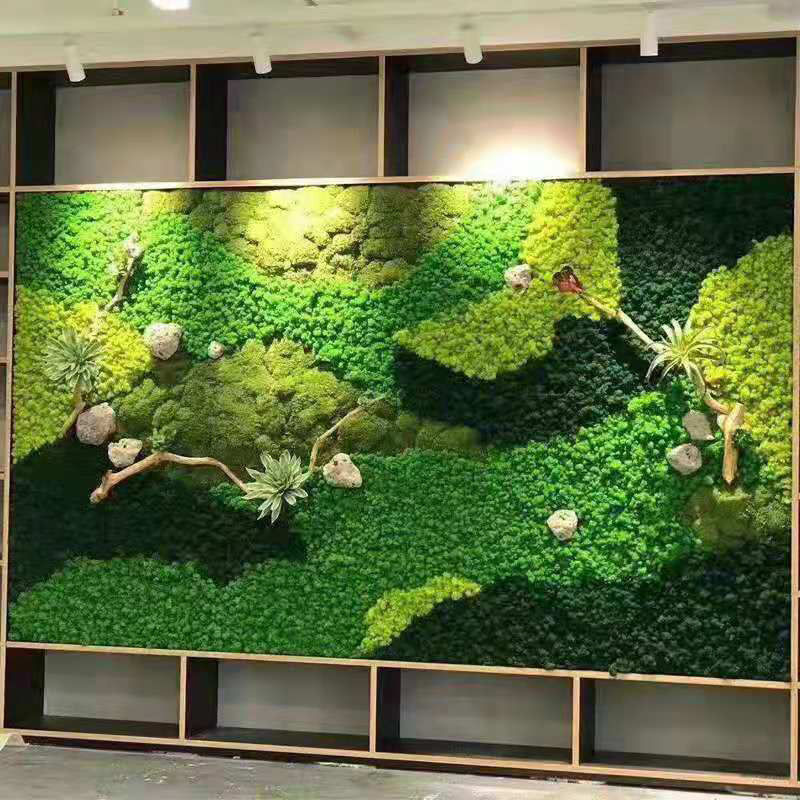 Sphagnum Moss Dry - نباتات طحلب اصطناعية خضراء ، عشب