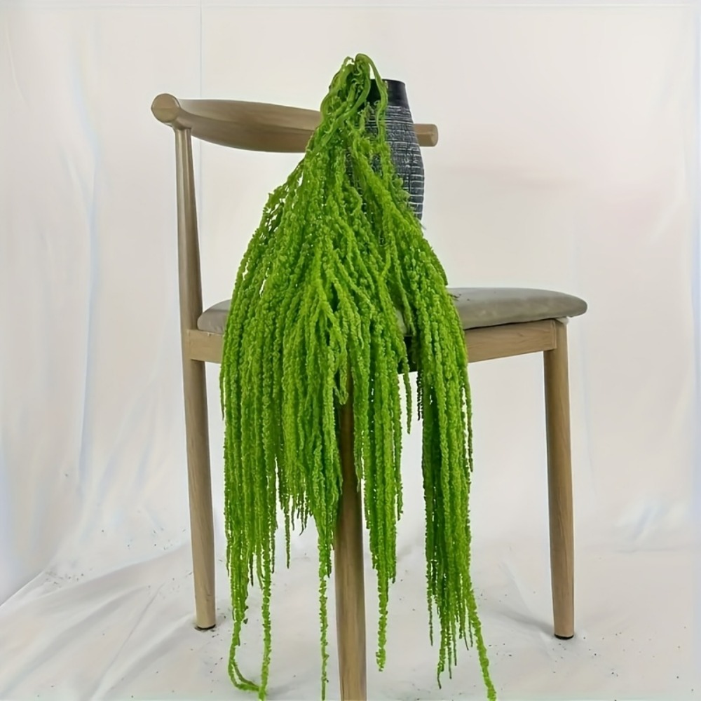 مجموعة من 4 قطع من زهور الأمار - مراجعة Sphagnum Moss Dry وسعره