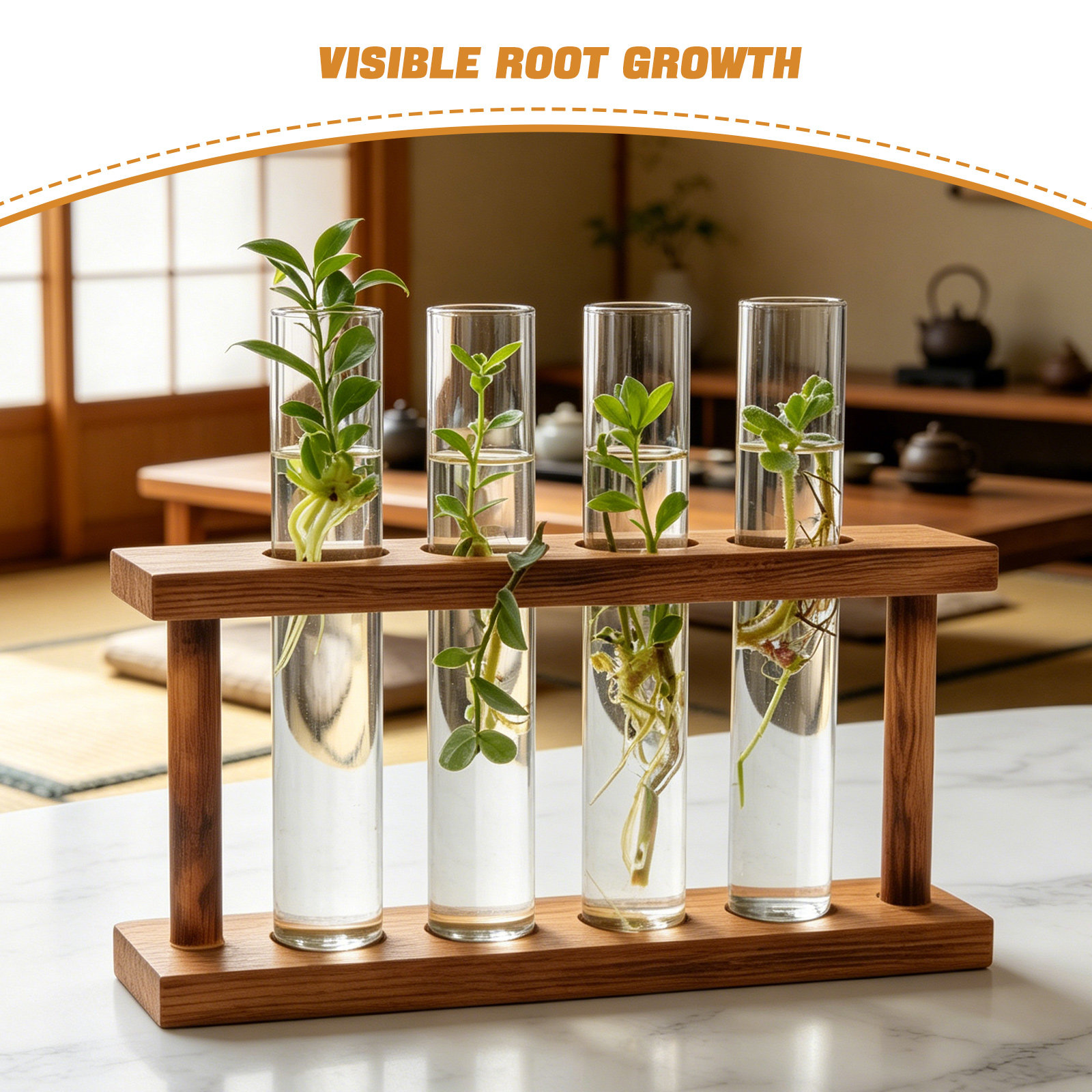 حامل نباتات خشبي لمحطة تكاثر ا - مراجعة Propagation Station Vase وسعره