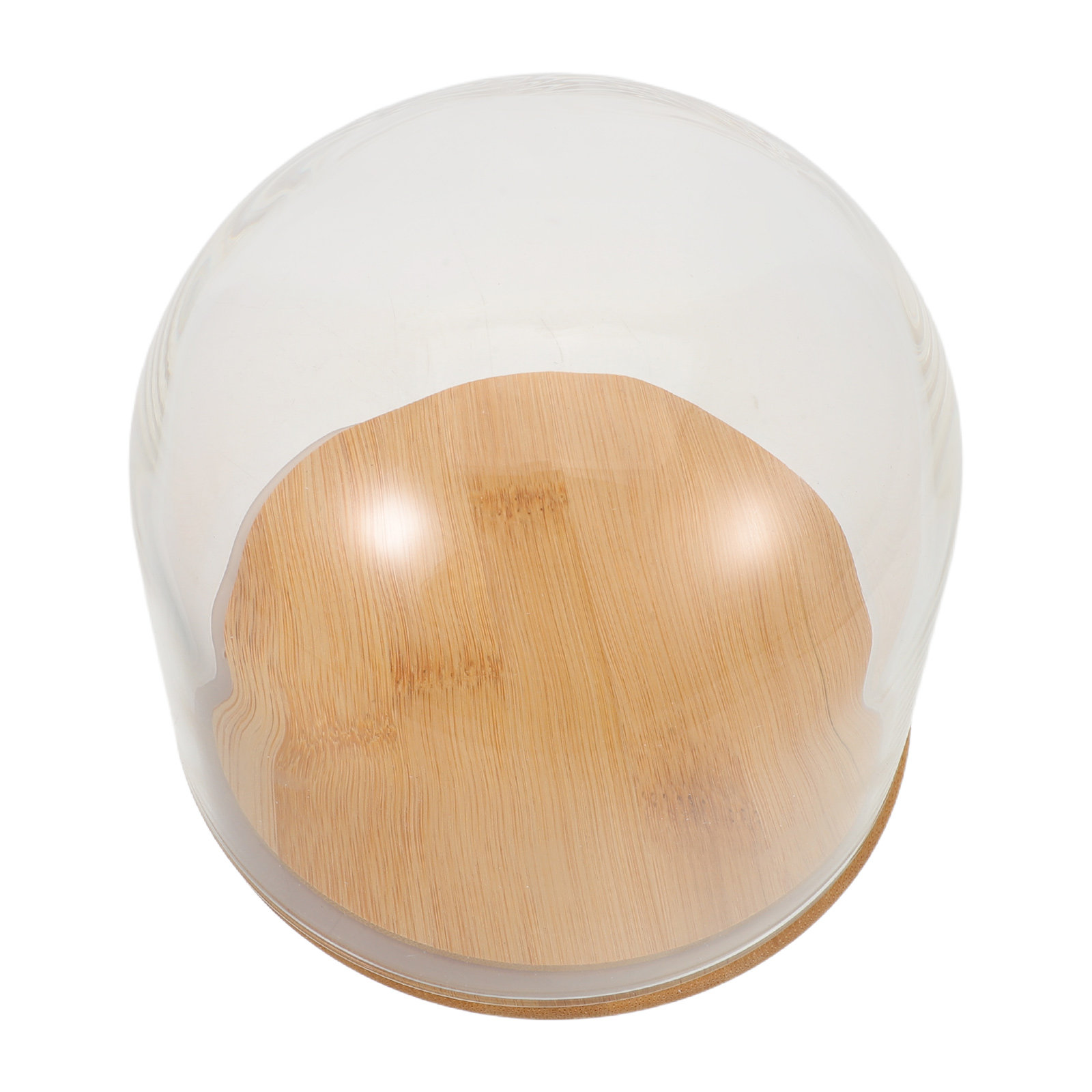 قبة زجاجية شفافة مع قاعدة من ا - مراجعة Plastic Dome Clear وسعره