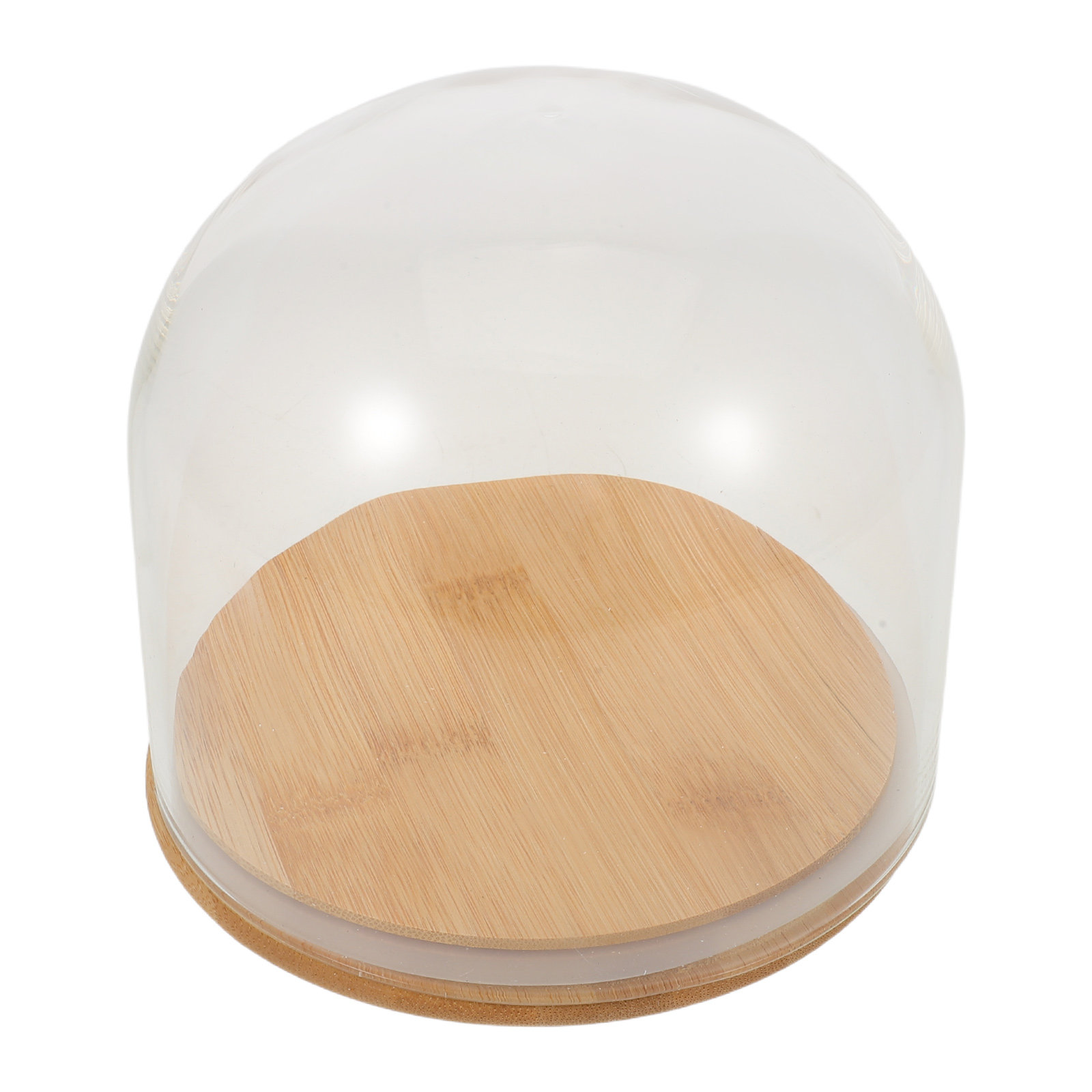 قبة زجاجية شفافة مع قاعدة من ا - مراجعة Plastic Dome Clear وسعره