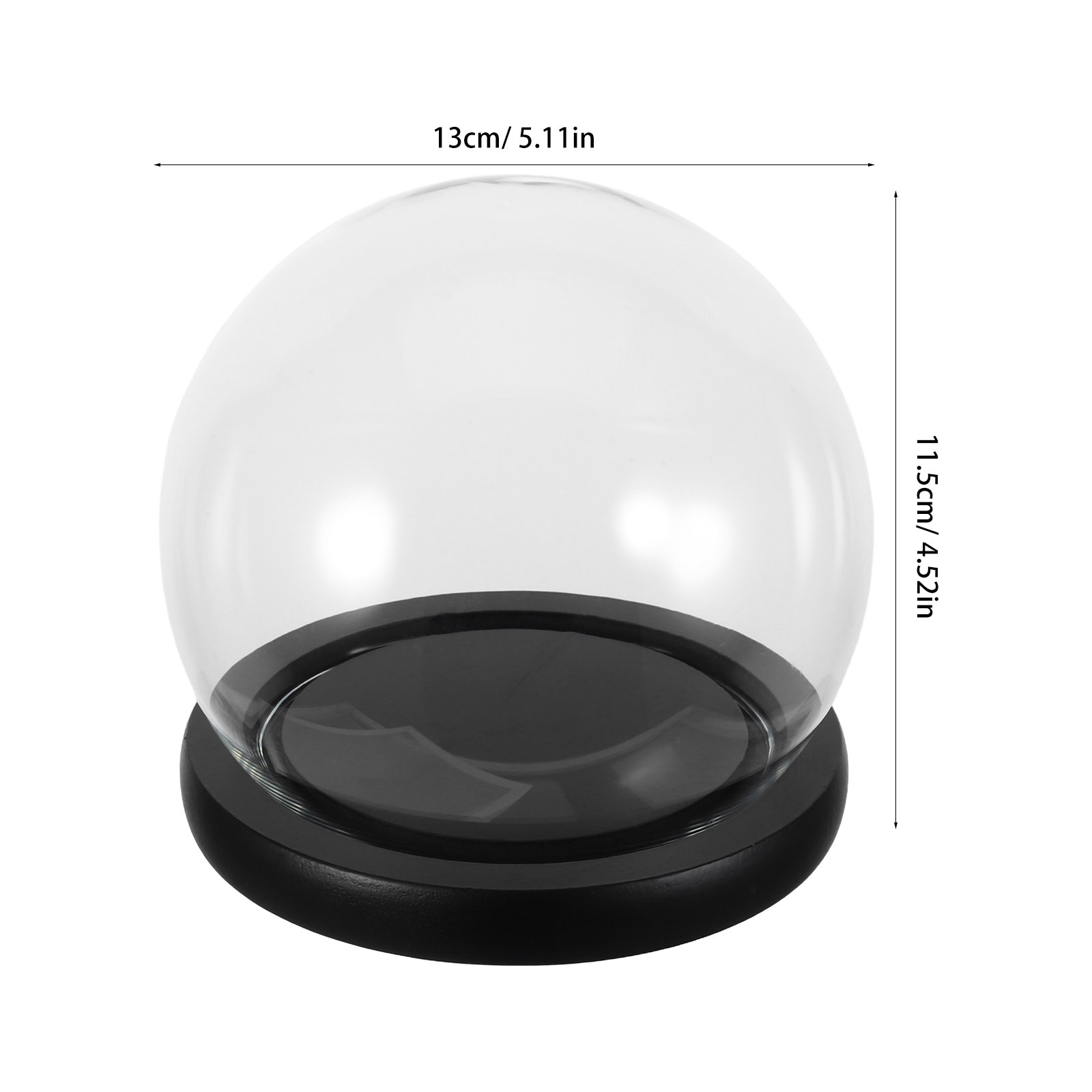 قبة زجاجية مع قاعدة من الخشب ا - مراجعة Plastic Dome Clear وسعره