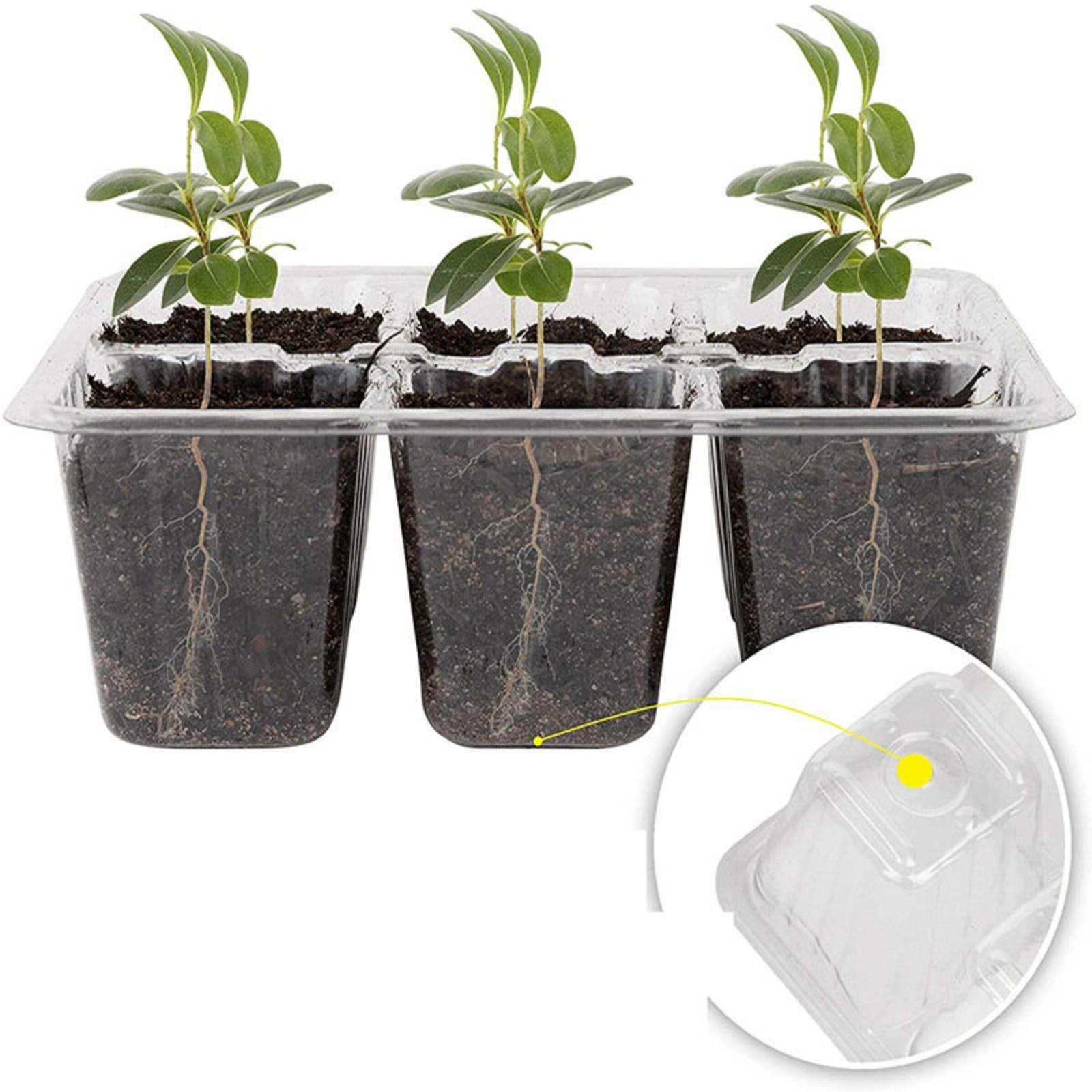صينية إنبات بـ 12 حجرة مع نظام - مراجعة Humidity Dome Kit وسعره