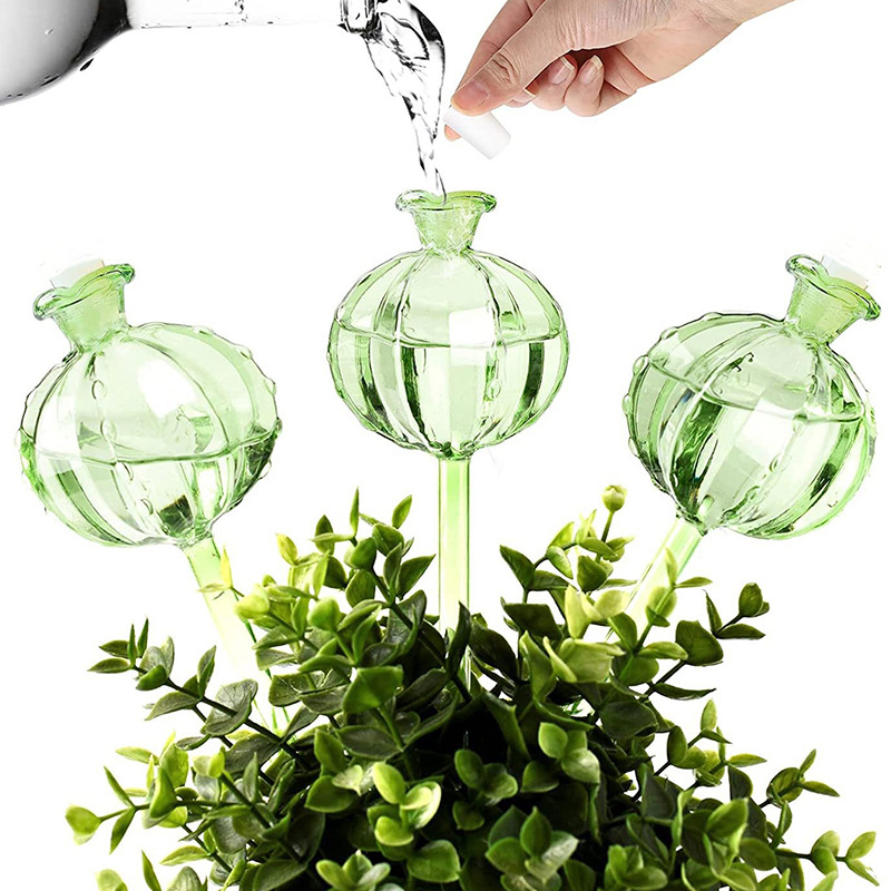 نظام ري آلي للنباتات على شكل م - مراجعة Self Watering Insert وسعره