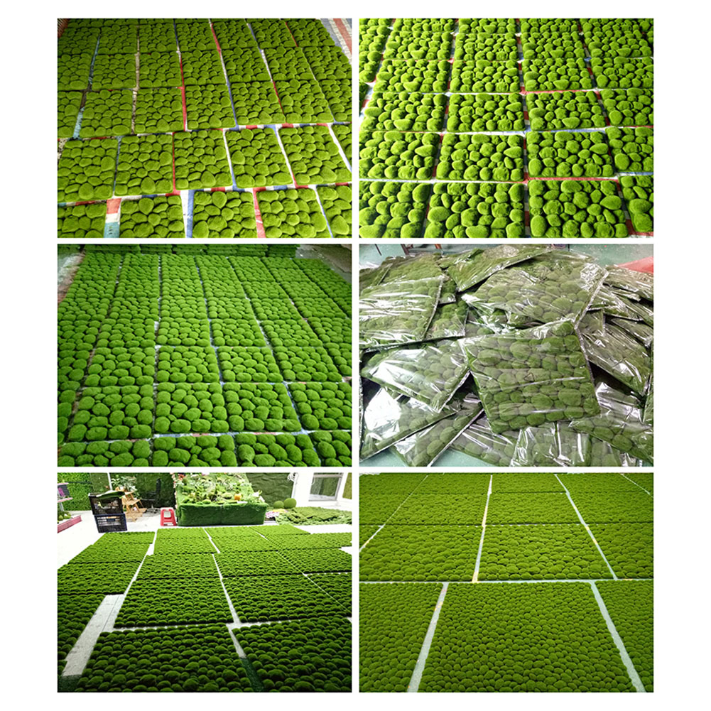 1 قطعة 30/32 سنتيمتر مقلد موس  - مراجعة Sphagnum Moss Dry وسعره