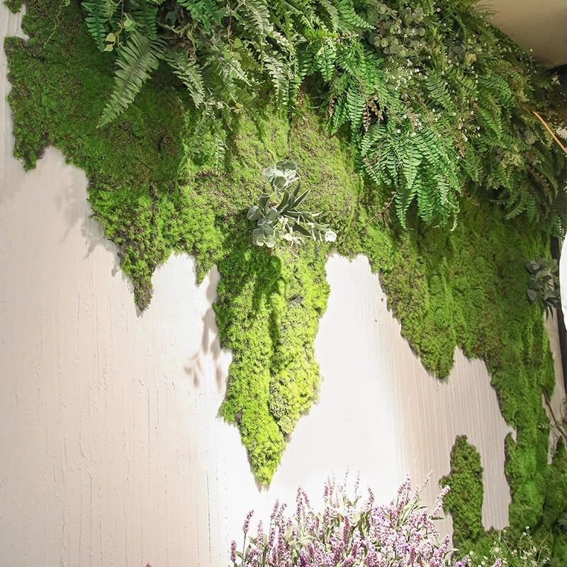 نباتات خضراء اصطناعية وعشب صنا - مراجعة Sphagnum Moss Dry وسعره